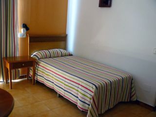 Gomila Palma de Mallorca